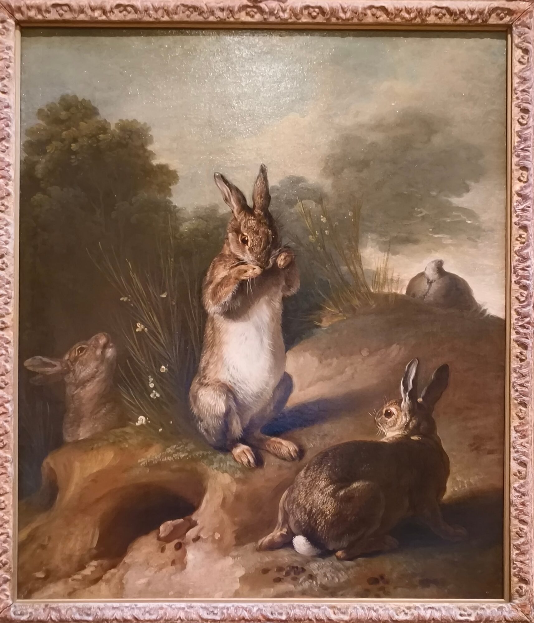 desportes1720